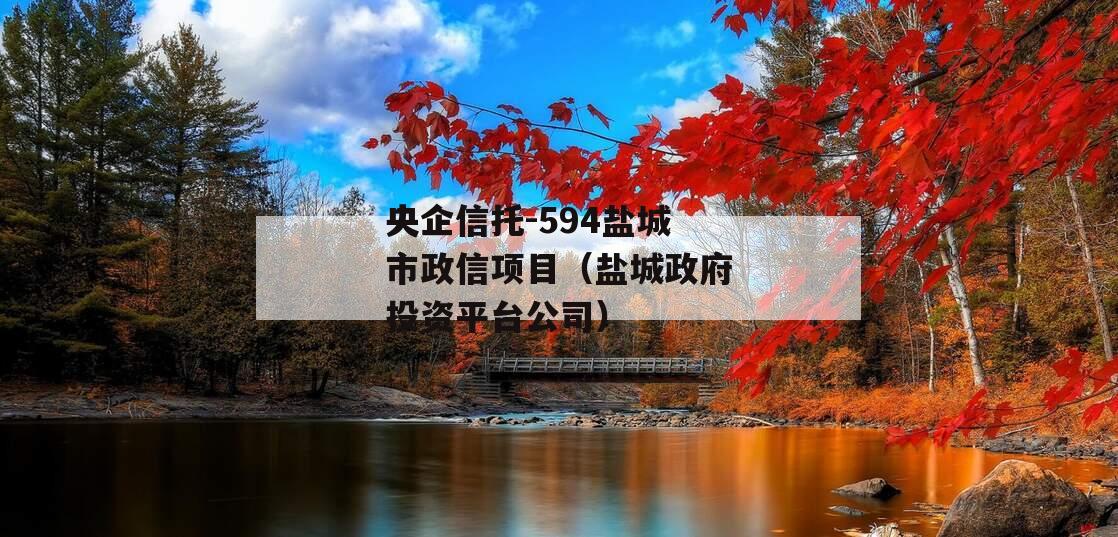 央企信托-594盐城市政信项目（盐城政府投资平台公司）