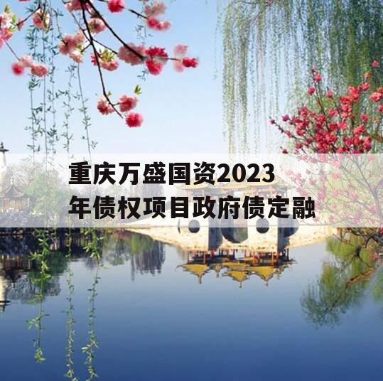 重庆万盛国资2023年债权项目政府债定融