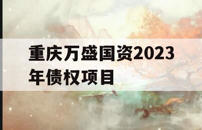 重庆万盛国资2023年债权项目