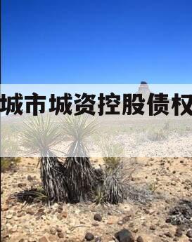 邹城市城资控股债权资产