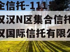 央企信托-111号·武汉汉N区集合信托（武汉国际信托有限公司）