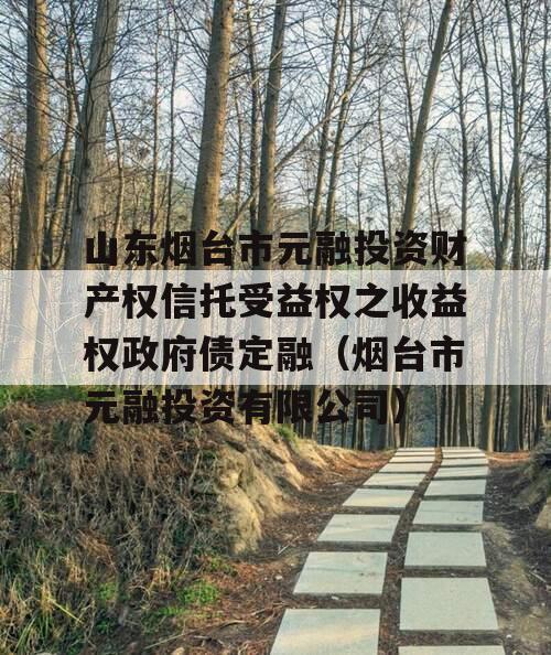 山东烟台市元融投资财产权信托受益权之收益权政府债定融（烟台市元融投资有限公司）