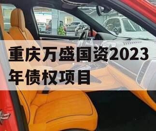 重庆万盛国资2023年债权项目 重庆万盛国资2023年债权项目