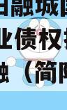 四川简阳融城国投2023年实业债权拍卖政府债定融（简阳投资公司）