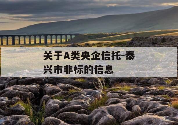 关于A类央企信托-泰兴市非标的信息