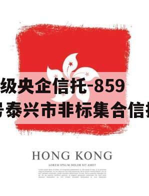 A级央企信托-859号泰兴市非标集合信托