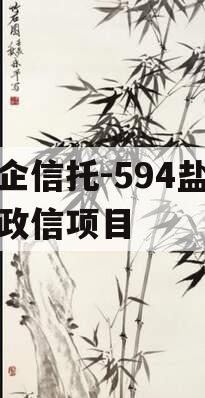 央企信托-594盐城市政信项目 央企信托-594盐城市政信项目