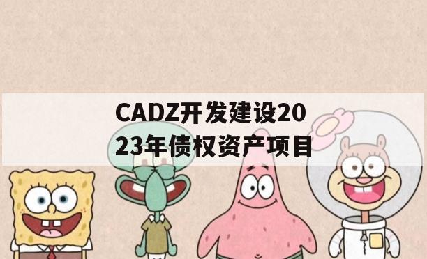 CADZ开发建设2023年债权资产项目 CADZ开发建设2023年债权资产项目