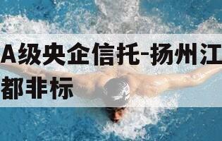 A级央企信托-扬州江都非标 A级央企信托-扬州江都非标