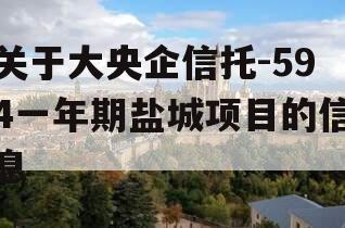 关于大央企信托-594一年期盐城项目的信息