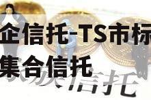 央企信托-TS市标准债集合信托