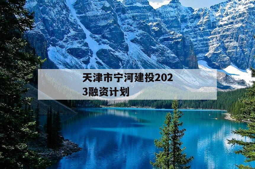 天津市宁河建投2023融资计划