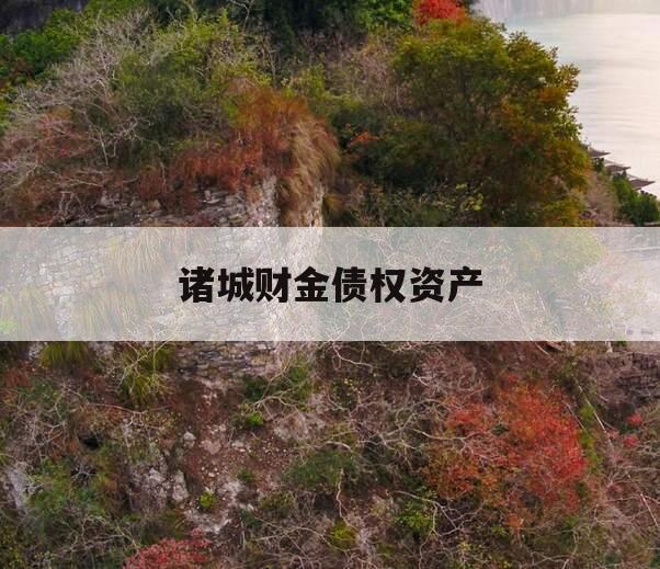 诸城财金债权资产