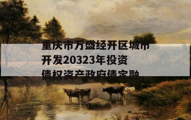 重庆市万盛经开区城市开发20323年投资债权资产政府债定融