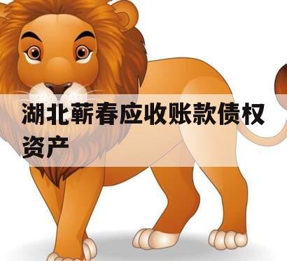 湖北蕲春应收账款债权资产