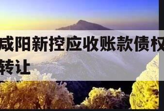 咸阳新控应收账款债权转让
