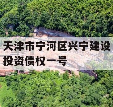 天津市宁河区兴宁建设投资债权一号