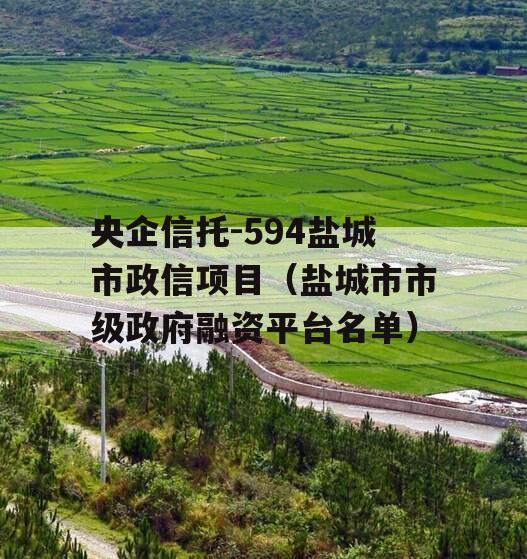 央企信托-594盐城市政信项目（盐城市市级政府融资平台名单）