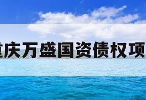 重庆万盛国资债权项目