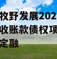 新乡牧野发展2023年应收账款债权项目政府债定融 新乡牧野发展2023年应收账款债权项目政府债定融