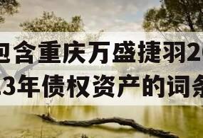 包含重庆万盛捷羽2023年债权资产的词条