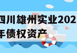 四川雄州实业2023年债权资产