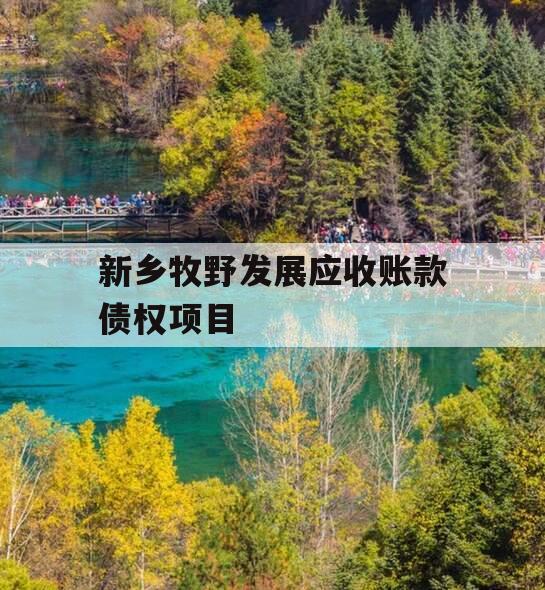 新乡牧野发展应收账款债权项目 新乡牧野发展应收账款债权项目