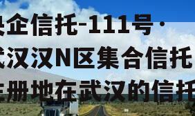 央企信托-111号·武汉汉N区集合信托（注册地在武汉的信托）