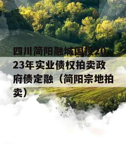四川简阳融城国投2023年实业债权拍卖政府债定融（简阳宗地拍卖）