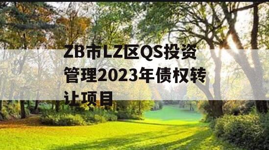 ZB市LZ区QS投资管理2023年债权转让项目