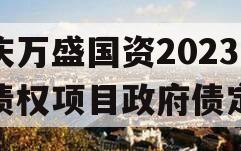 重庆万盛国资2023年债权项目政府债定融