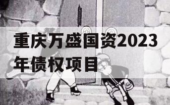 重庆万盛国资2023年债权项目