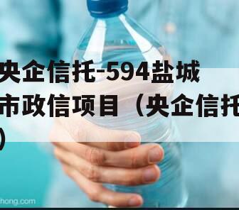 央企信托-594盐城市政信项目（央企信托）