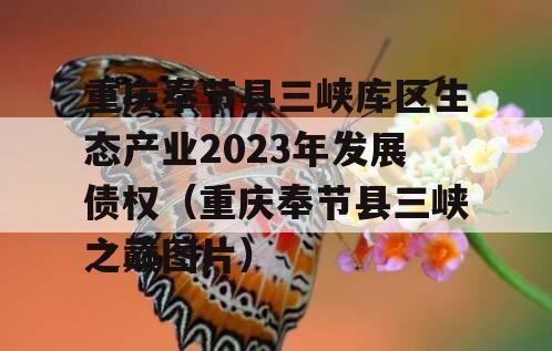 重庆奉节县三峡库区生态产业2023年发展债权（重庆奉节县三峡之巅图片）