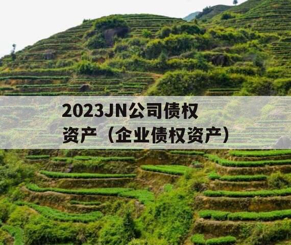 2023JN公司债权资产（企业债权资产）