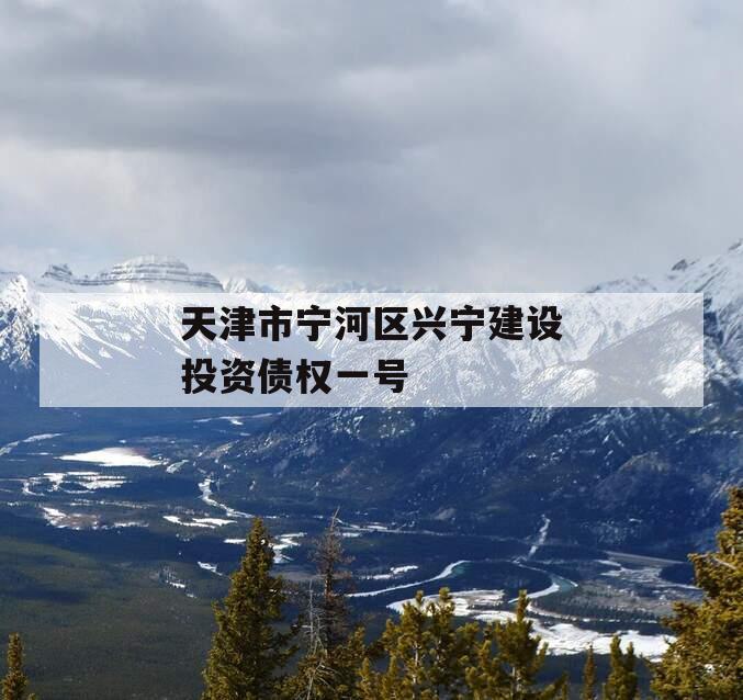 天津市宁河区兴宁建设投资债权一号 天津市宁河区兴宁建设投资债权一号