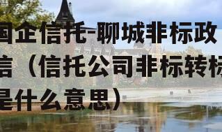 国企信托-聊城非标政信（信托公司非标转标是什么意思）