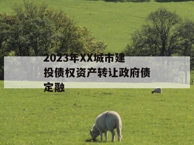2023年XX城市建投债权资产转让政府债定融