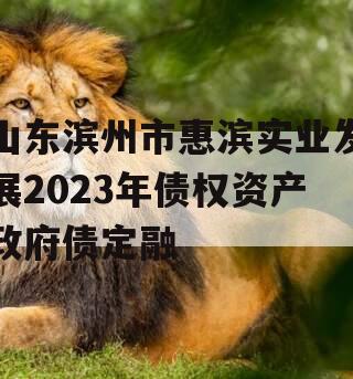 山东滨州市惠滨实业发展2023年债权资产政府债定融