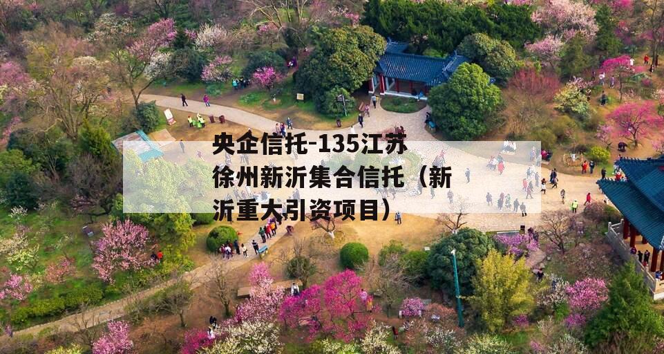 央企信托-135江苏徐州新沂集合信托（新沂重大引资项目）