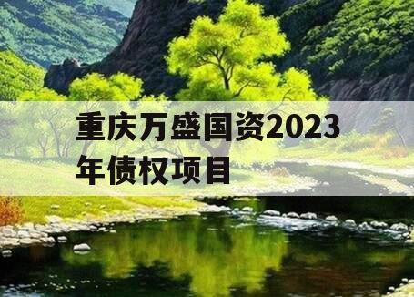 重庆万盛国资2023年债权项目