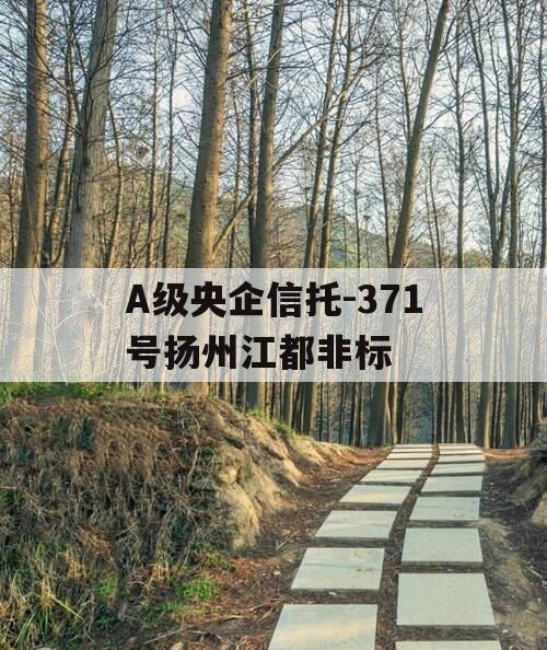A级央企信托-371号扬州江都非标