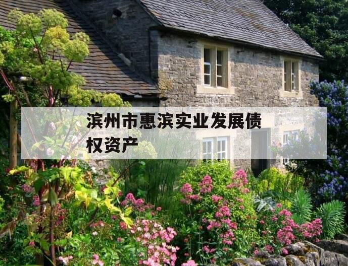 滨州市惠滨实业发展债权资产 滨州市惠滨实业发展债权资产