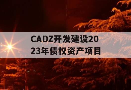 CADZ开发建设2023年债权资产项目