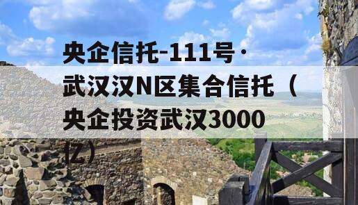 央企信托-111号·武汉汉N区集合信托（央企投资武汉3000亿）