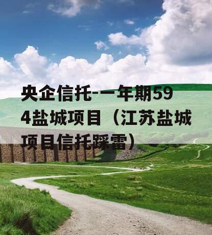 央企信托-一年期594盐城项目（江苏盐城项目信托踩雷）