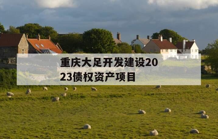 重庆大足开发建设2023债权资产项目 重庆大足开发建设2023债权资产项目