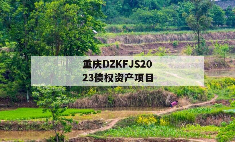 重庆DZKFJS2023债权资产项目