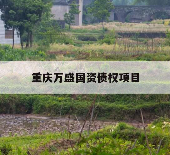 重庆万盛国资债权项目