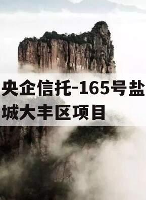 央企信托-165号盐城大丰区项目 央企信托-165号盐城大丰区项目